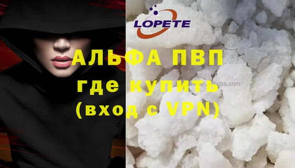 индика Алексин
