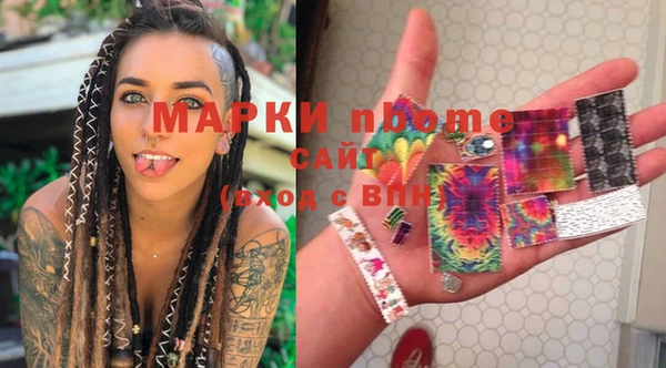 индика Алексин