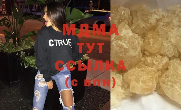 индика Алексин