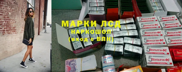 индика Алексин