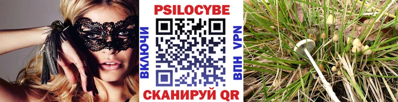 купить наркотики цена  Аткарск  Псилоцибиновые грибы Magic Shrooms 