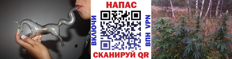 цены Аткарск Конопля семена